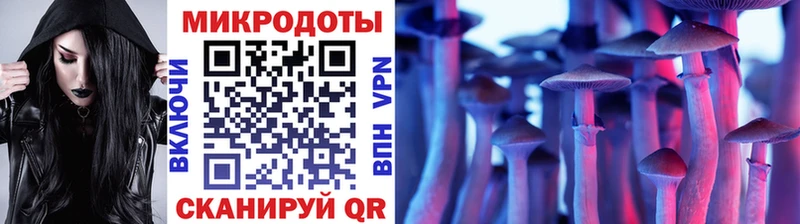 что такое наркотик  Владивосток  MEGA как зайти  Галлюциногенные грибы Psilocybine cubensis 